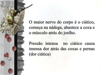 O maior nervo do corpo é o ciático,
começa na nádega, abastece a coxa e
o músculo atrás do joelho.
Pressão intensa no ciático causa
imensa dor atrás das coxas e pernas
(dor ciática)
 