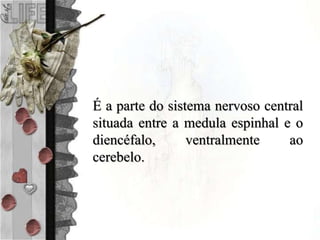 É a parte do sistema nervoso central
situada entre a medula espinhal e o
diencéfalo, ventralmente ao
cerebelo.
 