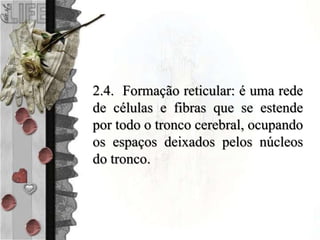 2.4. Formação reticular: é uma rede
de células e fibras que se estende
por todo o tronco cerebral, ocupando
os espaços deixados pelos núcleos
do tronco.
 