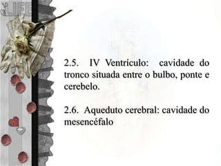 2.5. IV Ventrículo: cavidade do
tronco situada entre o bulbo, ponte e
cerebelo.
2.6. Aqueduto cerebral: cavidade do
mesencéfalo
 