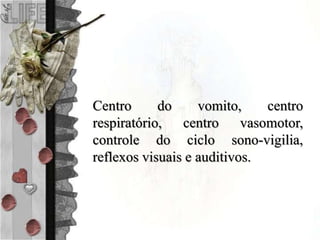 Centro do vomito, centro
respiratório, centro vasomotor,
controle do ciclo sono-vigilia,
reflexos visuais e auditivos.
 