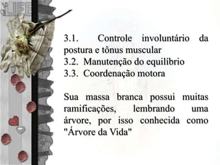 3.1. Controle involuntário da
postura e tônus muscular
3.2. Manutenção do equilíbrio
3.3. Coordenação motora
Sua massa branca possui muitas
ramificações, lembrando uma
árvore, por isso conhecida como
"Árvore da Vida"
 