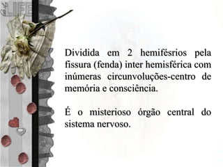 Dividida em 2 hemifésrios pela
fissura (fenda) inter hemisférica com
inúmeras circunvoluções-centro de
memória e consciência.
É o misterioso órgão central do
sistema nervoso.
 