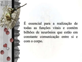 É essencial para a realização de
todas as funções vitais e contém
bilhões de neurônios que estão em
constante comunicação entre si e
com o corpo.
 