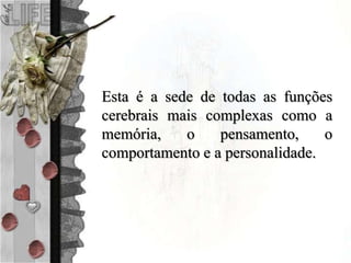 Esta é a sede de todas as funções
cerebrais mais complexas como a
memória, o pensamento, o
comportamento e a personalidade.
 