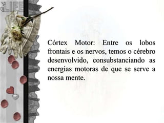 Córtex Motor: Entre os lobos
frontais e os nervos, temos o cérebro
desenvolvido, consubstanciando as
energias motoras de que se serve a
nossa mente.
 