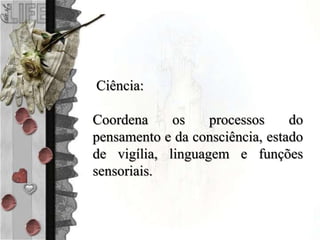 Ciência:
Coordena os processos do
pensamento e da consciência, estado
de vigília, linguagem e funções
sensoriais.
 