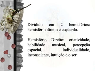 Dividido em 2 hemisférios:
hemisfério direito e esquerdo.
Hemisfério Direito: criatividade,
habilidade musical, percepção
espacial, individualidade,
inconsciente, intuição e o ser.
 