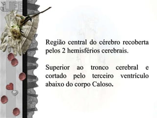 Região central do cérebro recoberta
pelos 2 hemisférios cerebrais.
Superior ao tronco cerebral e
cortado pelo terceiro ventrículo
abaixo do corpo Caloso.
 