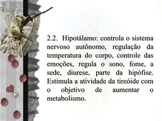 2.2. Hipotálamo: controla o sistema
nervoso autônomo, regulação da
temperatura do corpo, controle das
emoções, regula o sono, fome, a
sede, diurese, parte da hipófise.
Estimula a atividade da tireóide com
o objetivo de aumentar o
metabolismo.
 