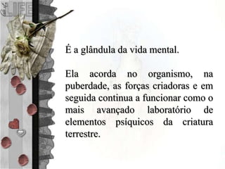É a glândula da vida mental.
Ela acorda no organismo, na
puberdade, as forças criadoras e em
seguida continua a funcionar como o
mais avançado laboratório de
elementos psíquicos da criatura
terrestre.
 
