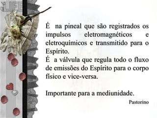 É na pineal que são registrados os
impulsos eletromagnéticos e
eletroquímicos e transmitido para o
Espírito.
É a válvula que regula todo o fluxo
de emissões do Espírito para o corpo
físico e vice-versa.
Importante para a mediunidade.
Pastorino
 