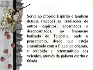 Serve ao próprio Espírito e também
detecta (recebe) as irradiações de
outros espíritos, encarnados e
desencarnados, no fenômeno
batizado de Telepatia, onde o
pensamento, desde que esteja
sintonizado com a Pineal da criatura,
é recebido e retransmitido aos
veículos, através da palavra escrita e
falada.
 