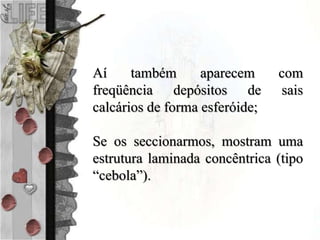 Aí também aparecem com
freqüência depósitos de sais
calcários de forma esferóide;
Se os seccionarmos, mostram uma
estrutura laminada concêntrica (tipo
“cebola”).
 