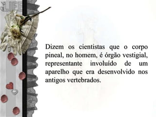 Dizem os cientistas que o corpo
pineal, no homem, é órgão vestigial,
representante involuído de um
aparelho que era desenvolvido nos
antigos vertebrados.
 