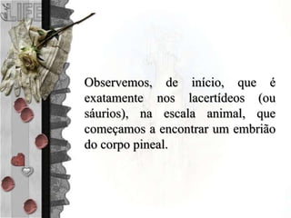 Observemos, de início, que é
exatamente nos lacertídeos (ou
sáurios), na escala animal, que
começamos a encontrar um embrião
do corpo pineal.
 