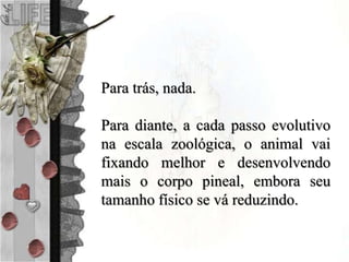 Para trás, nada.
Para diante, a cada passo evolutivo
na escala zoológica, o animal vai
fixando melhor e desenvolvendo
mais o corpo pineal, embora seu
tamanho físico se vá reduzindo.
 