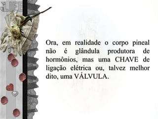 Ora, em realidade o corpo pineal
não é glândula produtora de
hormônios, mas uma CHAVE de
ligação elétrica ou, talvez melhor
dito, uma VÁLVULA.
 