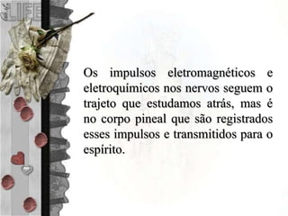 Os impulsos eletromagnéticos e
eletroquímicos nos nervos seguem o
trajeto que estudamos atrás, mas é
no corpo pineal que são registrados
esses impulsos e transmitidos para o
espírito.
 