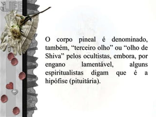 O corpo pineal é denominado,
também, “terceiro olho” ou “olho de
Shiva” pelos ocultistas, embora, por
engano lamentável, alguns
espiritualistas digam que é a
hipófise (pituitária).
 