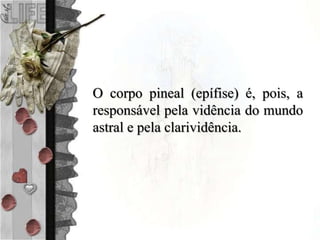 O corpo pineal (epífise) é, pois, a
responsável pela vidência do mundo
astral e pela clarividência.
 