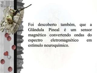 Foi descoberto também, que a
Glândula Pineal é um sensor
magnético convertendo ondas do
espectro eletromagnético em
estímulo neuroquímico.
 