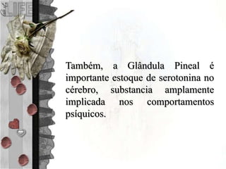 Também, a Glândula Pineal é
importante estoque de serotonina no
cérebro, substancia amplamente
implicada nos comportamentos
psíquicos.
 