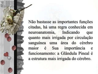 Não bastasse as importantes funções
citadas, há uma regra conhecida em
neuroanatomia, Indicando que
quanto mais irrigada por circulação
sanguínea uma área do cérebro
maior é Sua importância e
funcionamento: a Glândula Pineal é
a estrutura mais irrigada do cérebro.
 