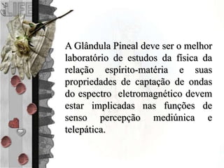 A Glândula Pineal deve ser o melhor
laboratório de estudos da física da
relação espírito-matéria e suas
propriedades de captação de ondas
do espectro eletromagnético devem
estar implicadas nas funções de
senso percepção mediúnica e
telepática.
 