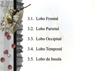 3.1. Lobo Frontal
3.2. Lobo Parietal
3.3. Lobo Occipital
3.4. Lobo Temporal
3.5. Lobo da Insula
 