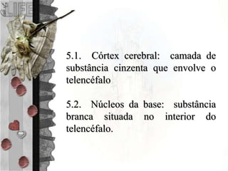 5.1. Córtex cerebral: camada de
substância cinzenta que envolve o
telencéfalo
5.2. Núcleos da base: substância
branca situada no interior do
telencéfalo.
 