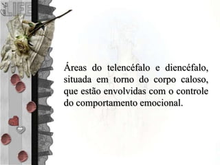 Áreas do telencéfalo e diencéfalo,
situada em torno do corpo caloso,
que estão envolvidas com o controle
do comportamento emocional.
 
