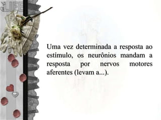 Uma vez determinada a resposta ao
estímulo, os neurônios mandam a
resposta por nervos motores
aferentes (levam a...).
 