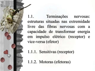 1.1. Terminações nervosas:
estruturas situadas nas extremidade
livre das fibras nervosas com a
capacidade de transformar energia
em impulso elétrico (receptor) e
vice-versa (efetor)
1.1.1. Sensitivas (receptor)
1.1.2. Motoras (efetoras)
 