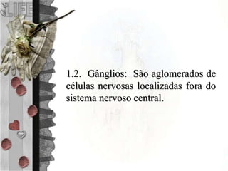 1.2. Gânglios: São aglomerados de
células nervosas localizadas fora do
sistema nervoso central.
 