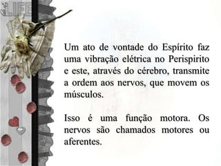 Um ato de vontade do Espírito faz
uma vibração elétrica no Perispirito
e este, através do cérebro, transmite
a ordem aos nervos, que movem os
músculos.
Isso é uma função motora. Os
nervos são chamados motores ou
aferentes.
 