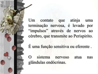 Um contato que atinja uma
terminação nervosa, é levado por
“impulsos” através de nervos ao
cérebro, que transmite ao Perispirito.
É uma função sensitiva ou eferente .
O sistema nervoso atua nas
glândulas endócrinas.
 