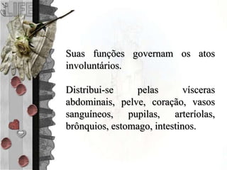 Suas funções governam os atos
involuntários.
Distribui-se pelas vísceras
abdominais, pelve, coração, vasos
sanguíneos, pupilas, arteríolas,
brônquios, estomago, intestinos.
 