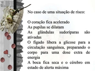 No caso de uma situação de risco:
O coração fica acelerado
As pupilas se dilatam
As glândulas sudoríparas são
ativadas
O fígado libera a glicose para a
circulação sanguínea, preparando o
corpo para uma dose extra de
energia
A boca fica seca e o cérebro em
estado de alerta máxima
 