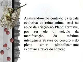Analisando-o no contexto da escala
evolutiva do reino animal, está no
ápice da criação no Plano Terrestre,
por ser ele o veículo da
manifestação da máxima
inteligência através do cérebro e do
pleno amor simbolicamente
expresso através do coração.
 