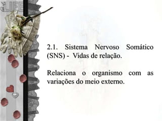 2.1. Sistema Nervoso Somático
(SNS) - Vidas de relação.
Relaciona o organismo com as
variações do meio externo.
 
