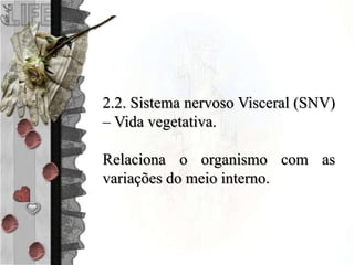 2.2. Sistema nervoso Visceral (SNV)
– Vida vegetativa.
Relaciona o organismo com as
variações do meio interno.
 