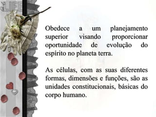 Obedece a um planejamento
superior visando proporcionar
oportunidade de evolução do
espírito no planeta terra.
As células, com as suas diferentes
formas, dimensões e funções, são as
unidades constitucionais, básicas do
corpo humano.
 
