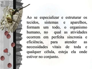 Ao se especializar e estruturar os
tecidos, sistemas e aparelhos,
formam um todo, o organismo
humano, no qual as atividades
ocorrem em perfeita sincronia e
eficiência, para atender as
necessidades vitais de toda e
qualquer célula, esteja ela onde
estiver no conjunto.
 