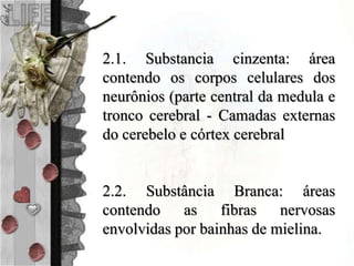 2.1. Substancia cinzenta: área
contendo os corpos celulares dos
neurônios (parte central da medula e
tronco cerebral - Camadas externas
do cerebelo e córtex cerebral
2.2. Substância Branca: áreas
contendo as fibras nervosas
envolvidas por bainhas de mielina.
 