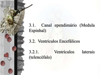 3.1. Canal ependimário (Medula
Espinhal)
3.2. Ventrículos Encefálicos
3.2.1. Ventrículos laterais
(telencéfalo)
 