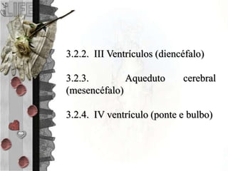 3.2.2. III Ventrículos (diencéfalo)
3.2.3. Aqueduto cerebral
(mesencéfalo)
3.2.4. IV ventrículo (ponte e bulbo)
 