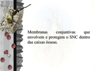 Membranas conjuntivas que
envolvem e protegem o SNC dentro
das caixas ósseas.
 
