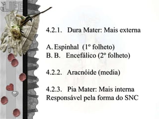 4.2.1. Dura Mater: Mais externa
A. Espinhal (1º folheto)
B. B. Encefálico (2º folheto)
4.2.2. Aracnóide (media)
4.2.3. Pia Mater: Mais interna
Responsável pela forma do SNC
 