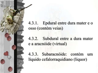 4.3.1. Epdural entre dura mater e o
osso (contém veias)
4.3.2. Subdural entre a dura mater
e a aracnóide (virtual)
4.3.3. Subaracnóide: contém um
líquido cefalorraquidiano (liquor)
 